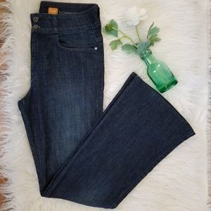 Anthropologie Pilcro Superscript Flare Jeans.